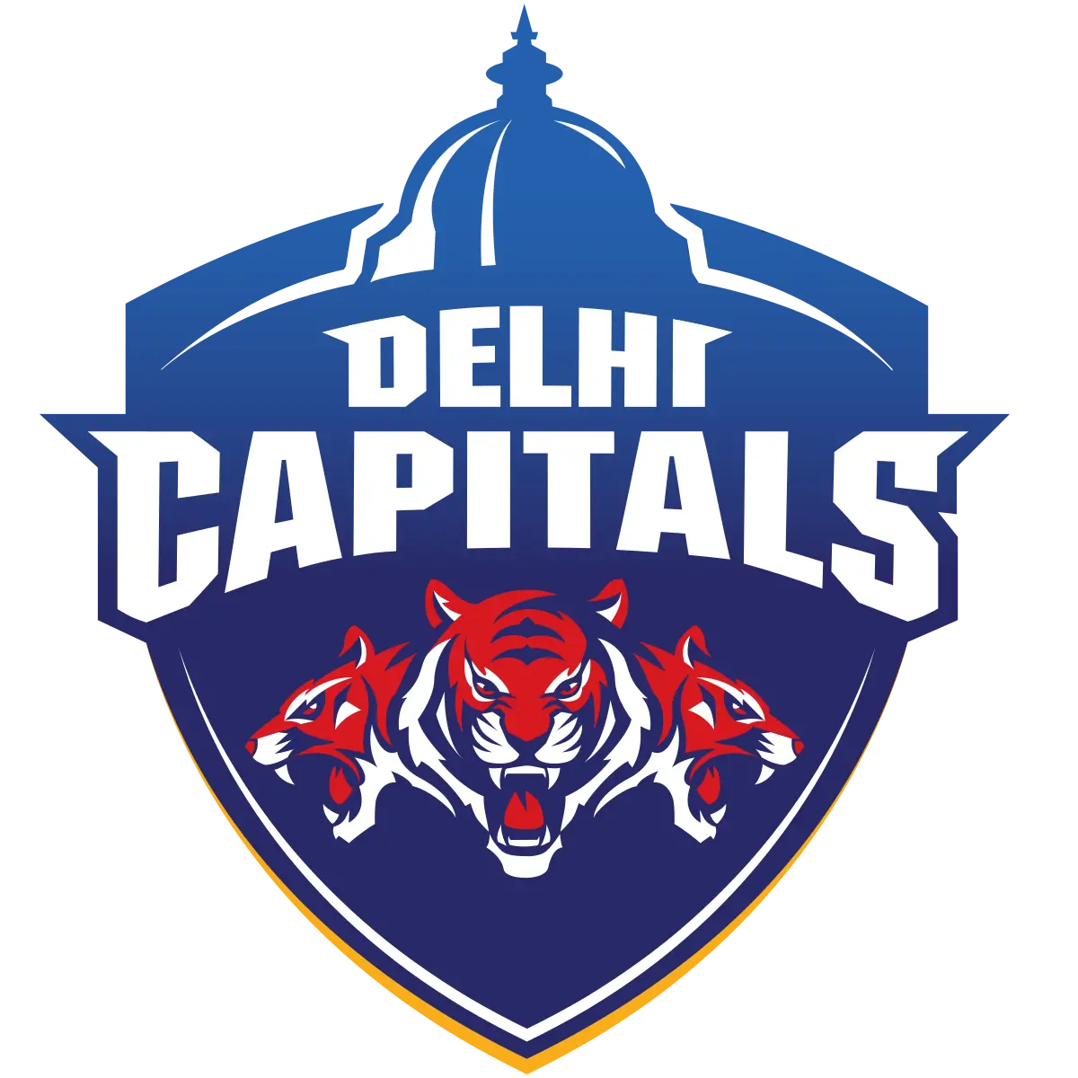 Delhi team logo